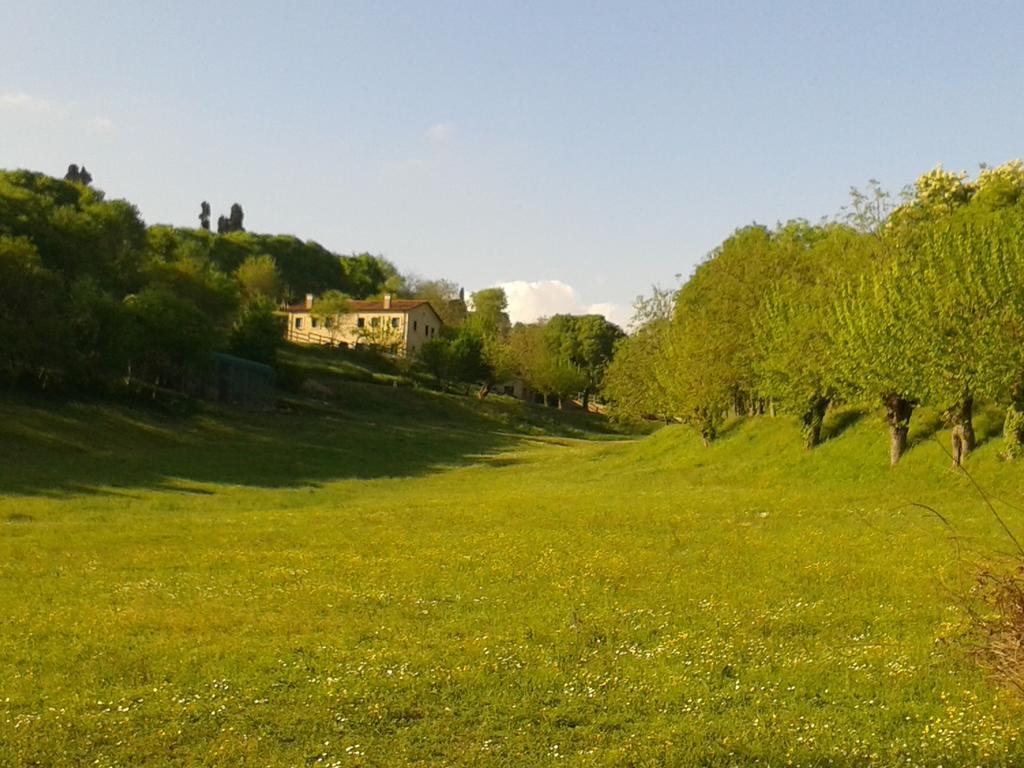 Casale La Rocchetta Bed and Breakfast Lonigo Exteriör bild